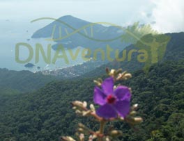 Vista do cume do Bico do Papagaio na Ilha Grande