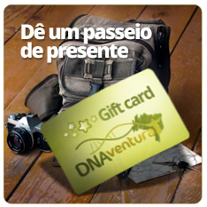 Presentei com uma experiência ao ar livre