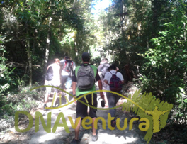 Caminhada em trilha de Piábas até a praia de Grumari