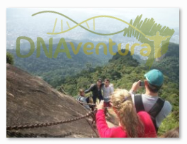 Escadaria da trilha do Pico da Tijuca