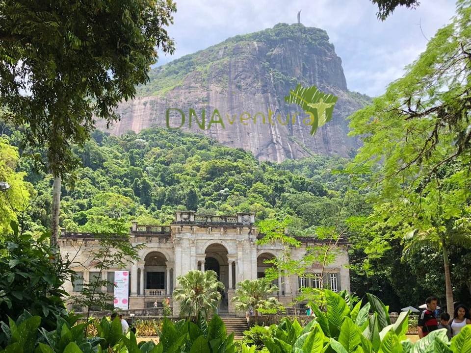 EAV e Corcovado vistos do Parque Lage durante Terapia Florestal